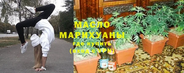 дживик Володарск