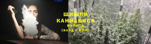 дживик Володарск