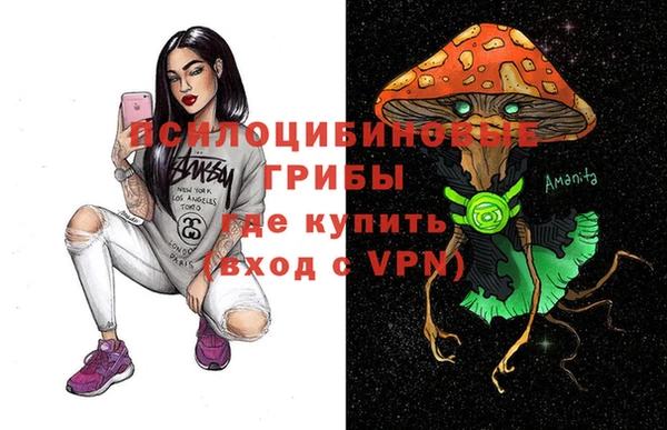 дживик Володарск