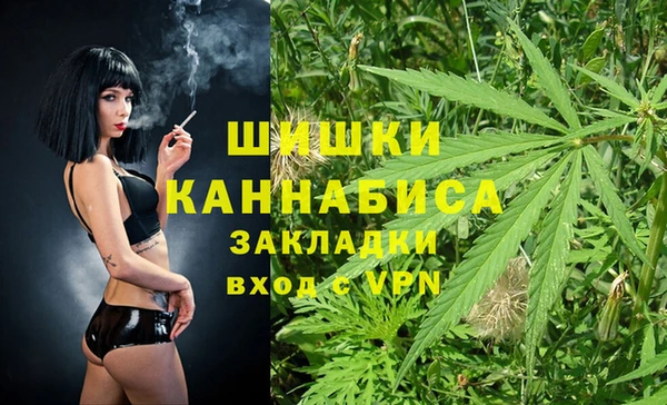 дживик Володарск