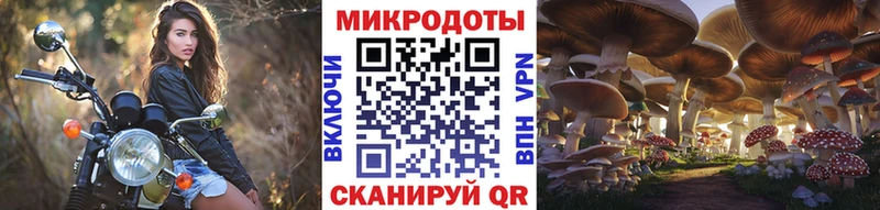 MEGA ТОР  Южно-Сахалинск  Псилоцибиновые грибы прущие грибы 