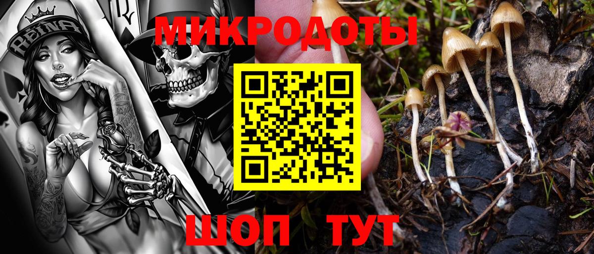 Южно-Сахалинск  Псилоцибиновые грибы GOLDEN TEACHER  Вход с VPN 